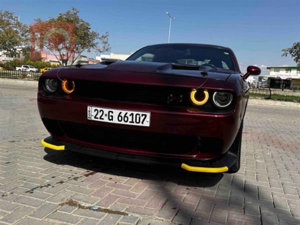 دۆج  بۆ فرۆشتن لە عێراق